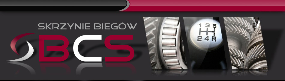 naglowek